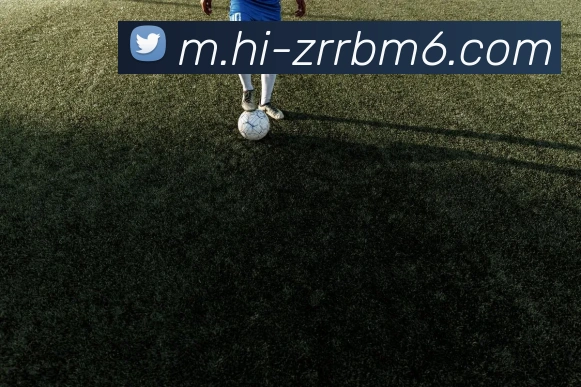 米乐m6服务体系